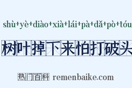树叶掉下来怕打破头是什么意思的图片